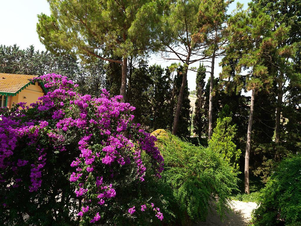 Villa Rosella Resort Roseto Degli Abruzzi Exterior foto